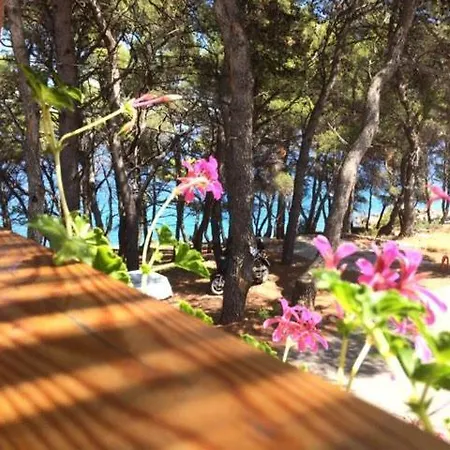 Apartman 22 Jelsa (Hvar)
