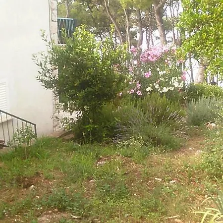 Apartman 22
